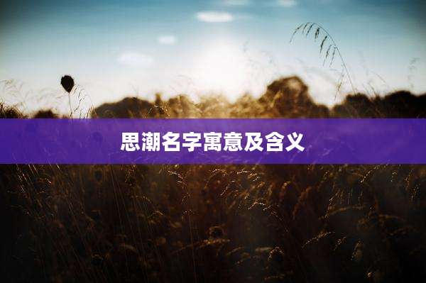 思潮名字寓意及含义