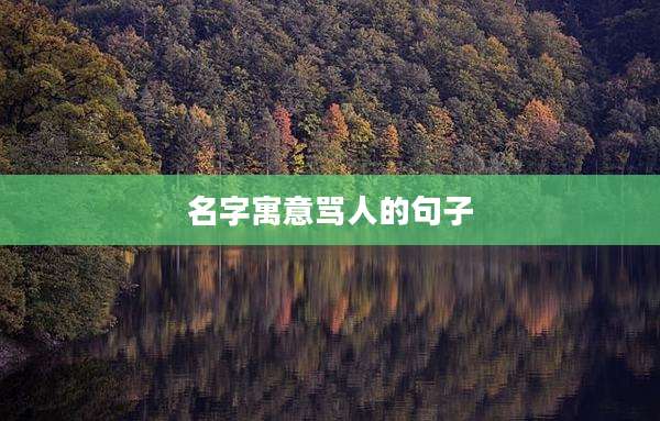 名字寓意骂人的句子