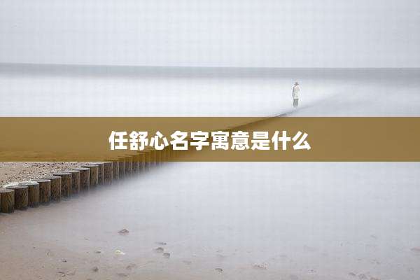 任舒心名字寓意是什么