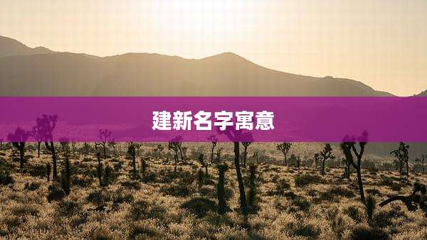 建新名字寓意