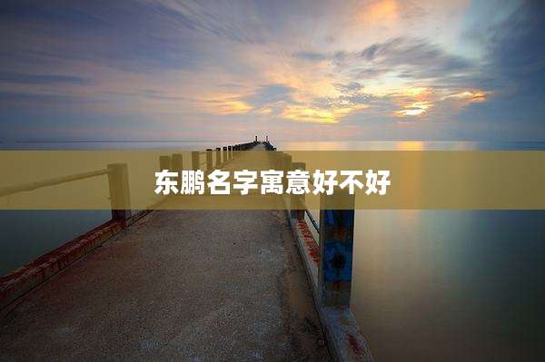 东鹏名字寓意好不好