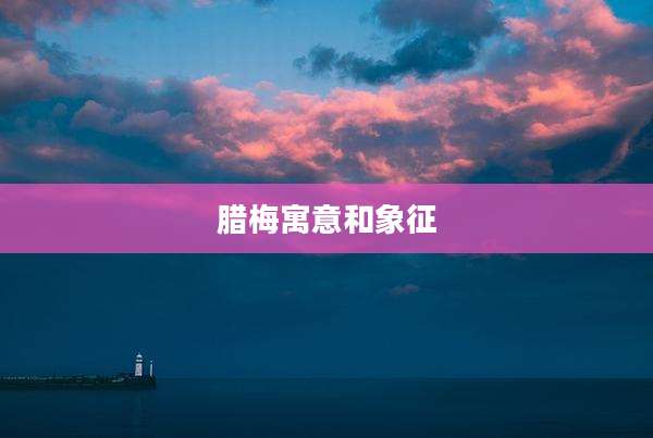 腊梅寓意和象征