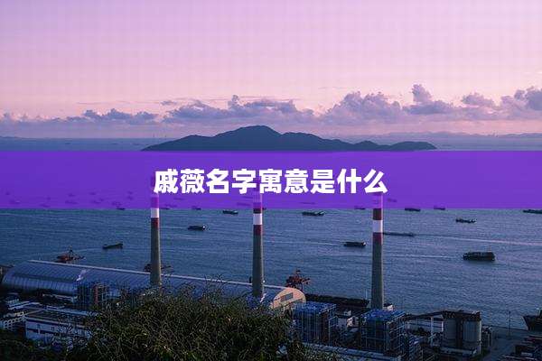 戚薇名字寓意是什么