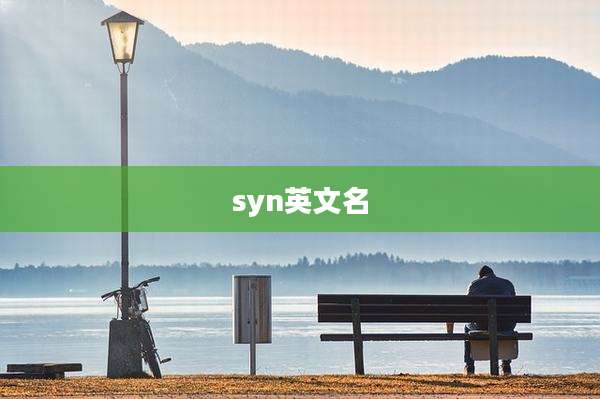syn英文名