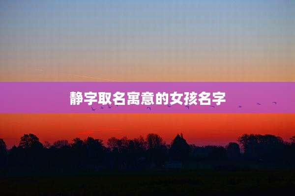 静字取名寓意的女孩名字