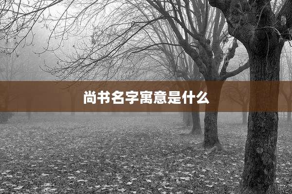 尚书名字寓意是什么