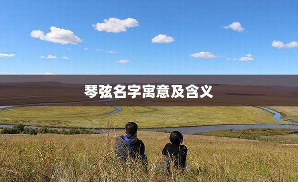 琴弦名字寓意及含义