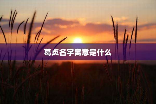 葛贞名字寓意是什么