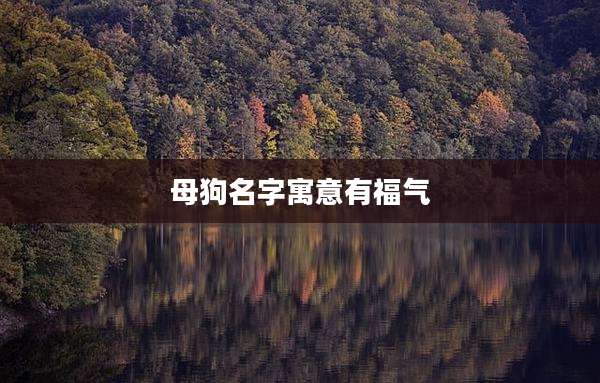 母狗名字寓意有福气