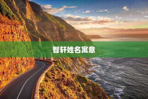 智轩姓名寓意