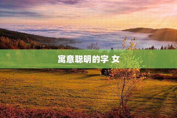 寓意聪明的字 女
