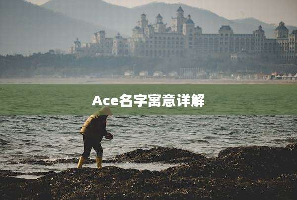 Ace名字寓意详解