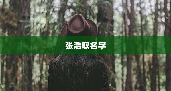 张浩取名字