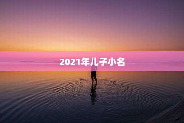 2021年儿子小名