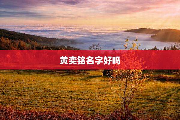 黄奕铭名字好吗