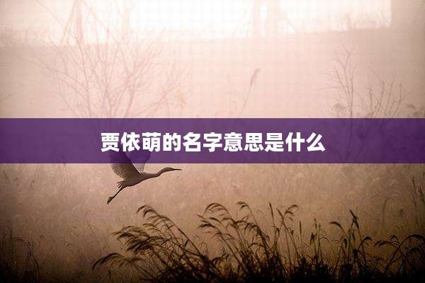 贾依萌的名字意思是什么