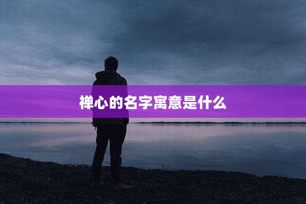 禅心的名字寓意是什么