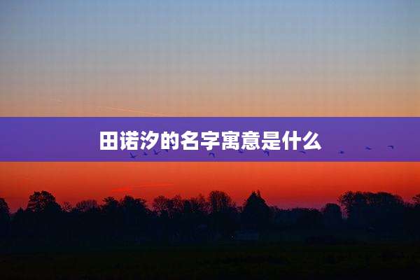 田诺汐的名字寓意是什么