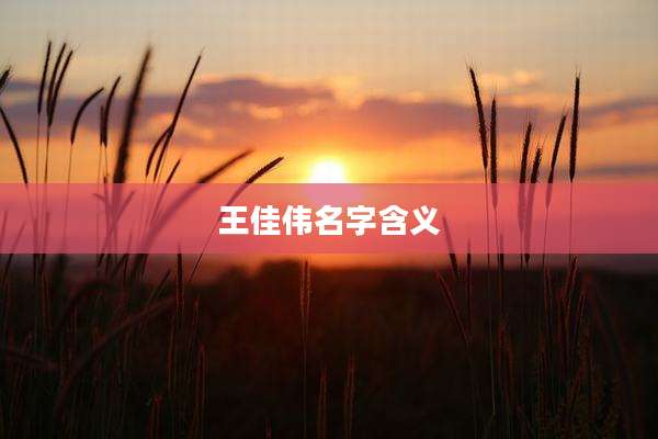 王佳伟名字含义