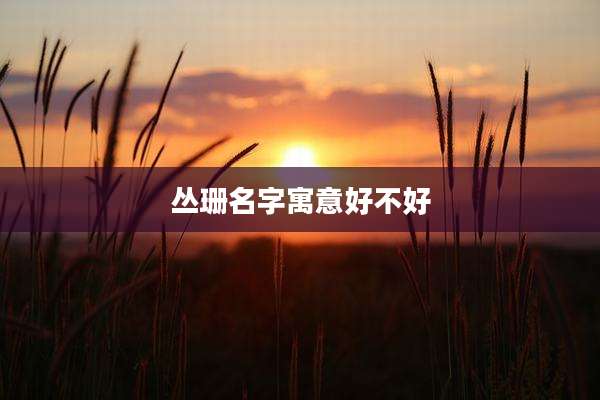 丛珊名字寓意好不好