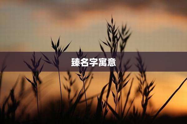 臻名字寓意