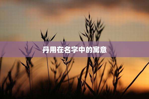 丹用在名字中的寓意