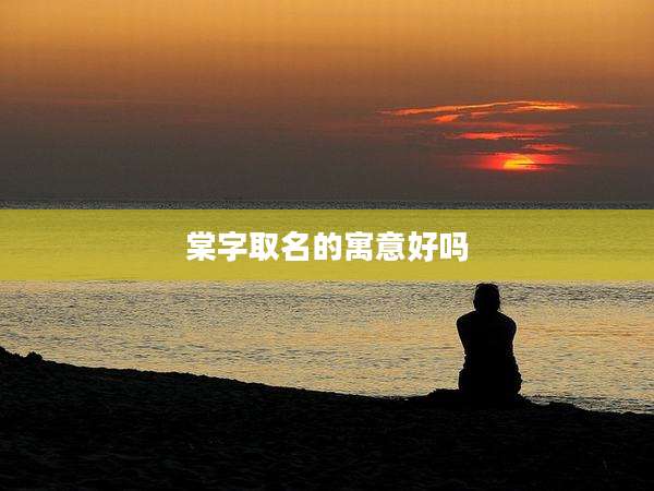 棠字取名的寓意好吗