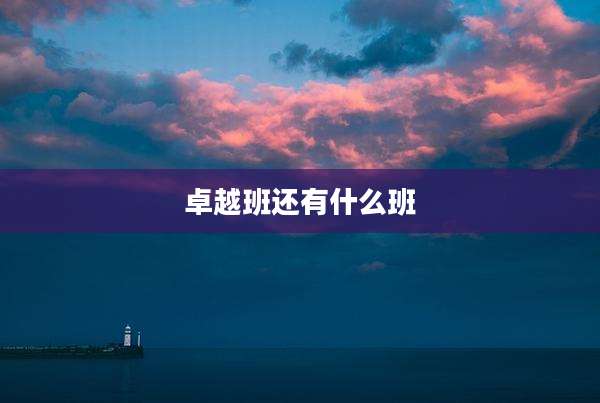 卓越班还有什么班