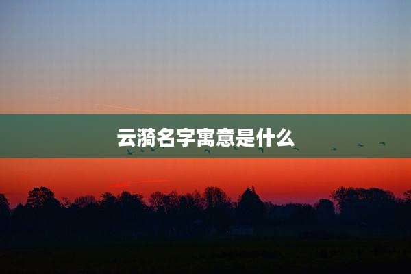 云漪名字寓意是什么