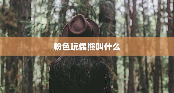 粉色玩偶熊叫什么