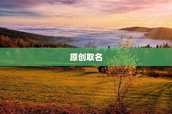 原创取名