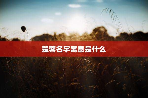 楚蓉名字寓意是什么