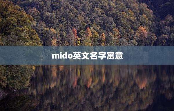 mido英文名字寓意