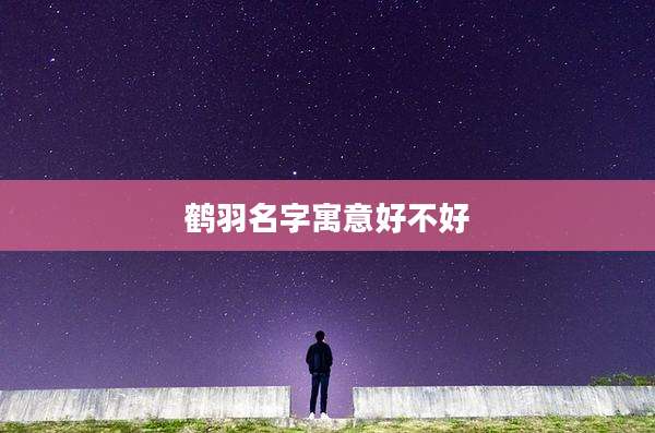 鹤羽名字寓意好不好