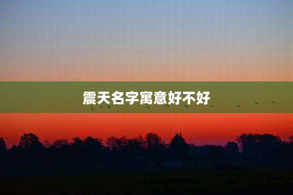 震天名字寓意好不好