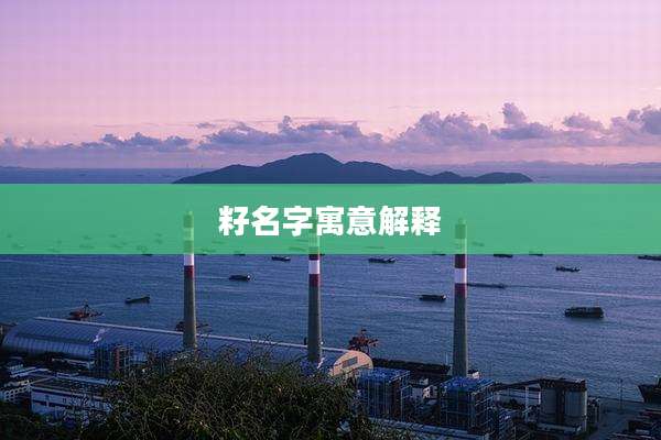 籽名字寓意解释