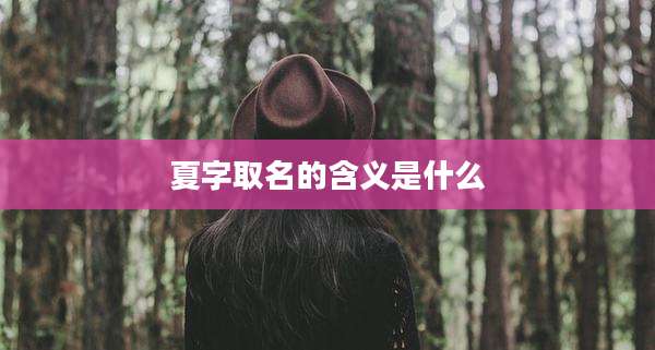 夏字取名的含义是什么