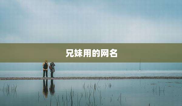 兄妹用的网名