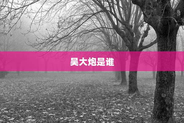 吴大炮是谁