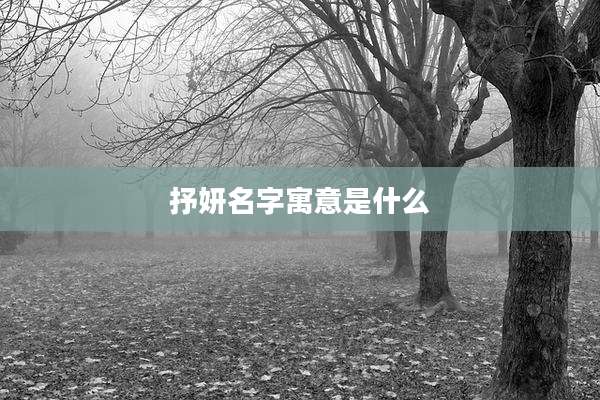 抒妍名字寓意是什么