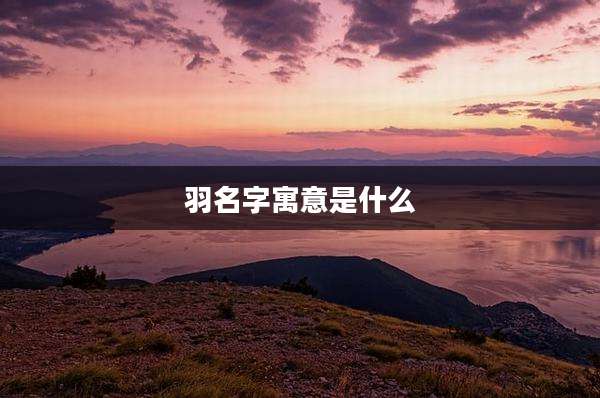 羽名字寓意是什么