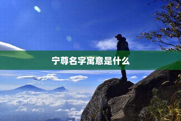 宁尊名字寓意是什么