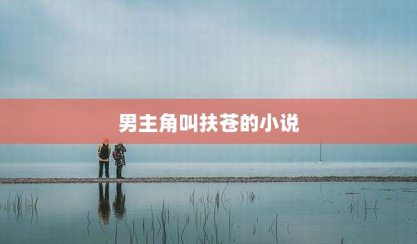 男主角叫扶苍的小说