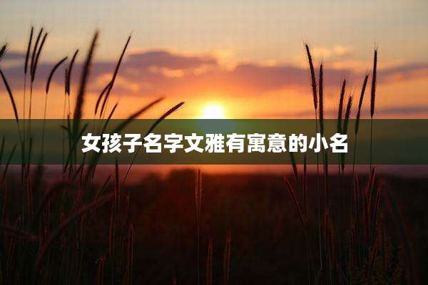 女孩子名字文雅有寓意的小名