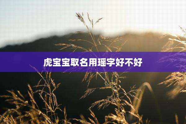 虎宝宝取名用瑶字好不好