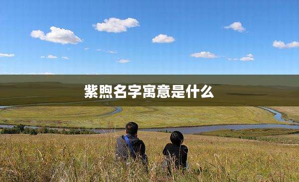 紫煦名字寓意是什么