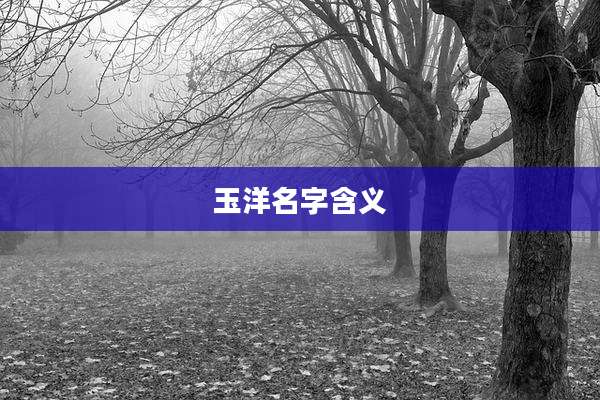 玉洋名字含义