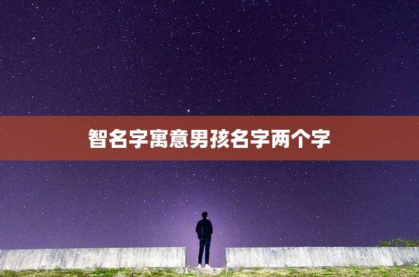 智名字寓意男孩名字两个字