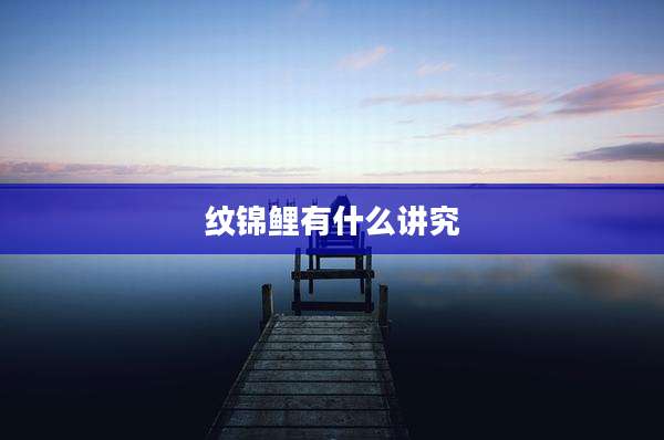 纹锦鲤有什么讲究