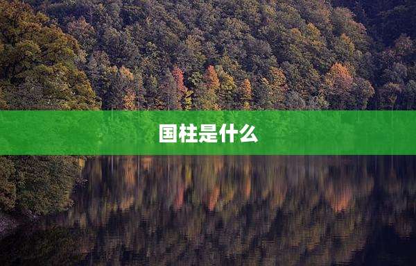 国柱是什么